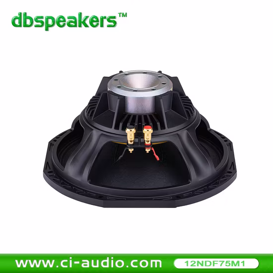 Professional Loudspeaker 12&prime; &prime; Line Array Speaker System 800watt Audio