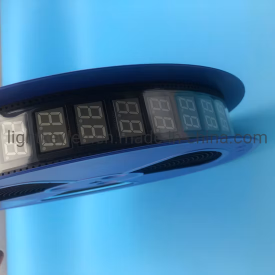 Custom 8 Digits SMD LED Display with Side Pins RoHS Compliant