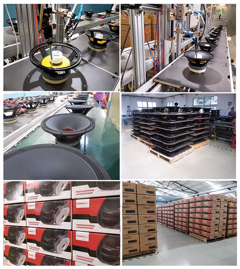 Professional Loudspeaker 12&prime; &prime; Line Array Speaker System 800watt Audio